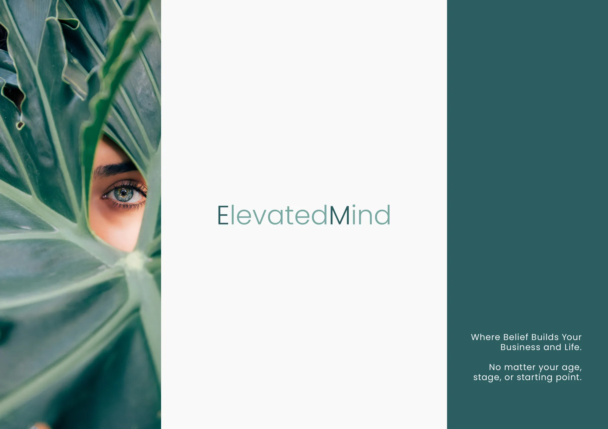 ElevatedMind brand identity 2